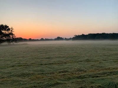 The First Frost